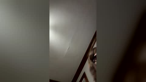 Snapshot of heidimackey2 chatting on 05-19-26, 04:08 heidimackey2 online show from 05-19-26, 04:08