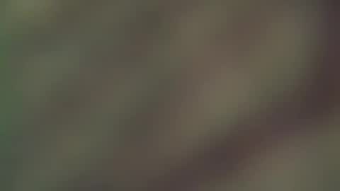 hellohowareyou66 online show from 03-19-26, 06:45