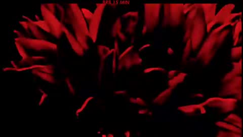 Sasha online show from 06-21-26, 07:16