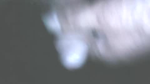 hofnung online show from 06-01-26, 11:39