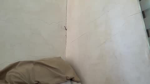 holly_wyn online show from 04-11-26, 01:21