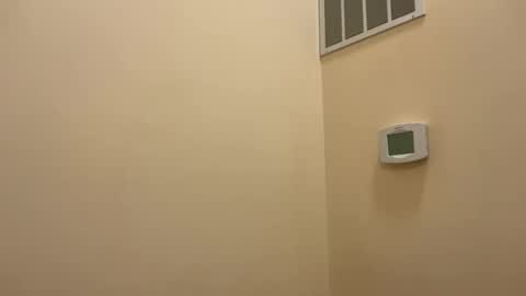 honey_man14 online show from 02-05-26, 08:13