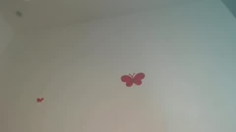 Iris online show from 04-02-26, 07:55