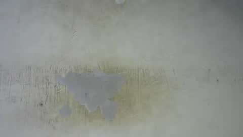 Bella online show from 02-27-26, 09:48