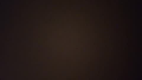 Snapshot of hothornyanddutch chatting on 04-30-26, 08:15 Hot Dutchie online show from 04-30-26, 08:15