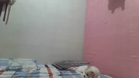 hotlavender online show from 05-18-26, 04:40