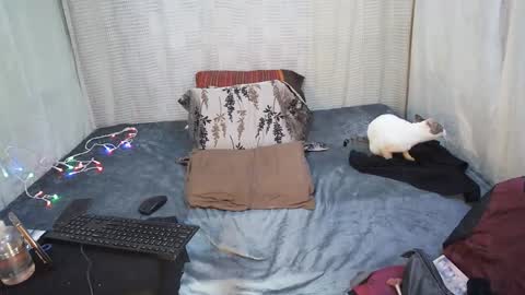 hottiedanicatrans69 online show from 05-18-26, 08:58