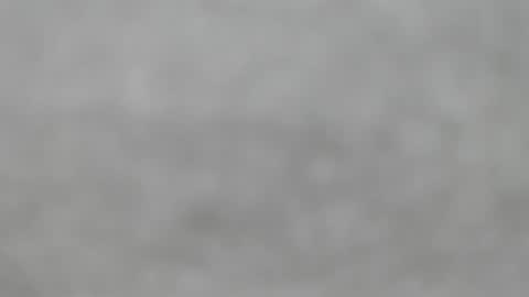 Slutty little female cat online show from 05-24-26, 12:15