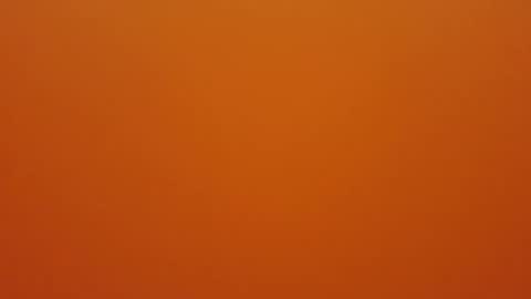 hundeleine online show from 12-16-25, 09:03