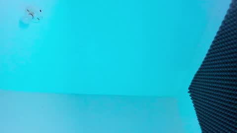 NAHO online show from 11-18-25, 09:52