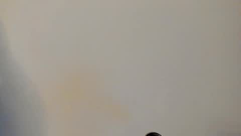 IAN CASTILLO online show from 02-24-26, 11:08