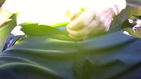 iflash4u online show from 06-12-26, 02:49