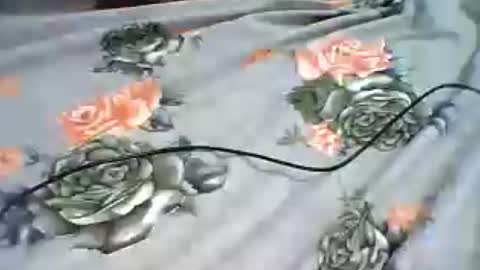 Snapshot of inejhtin chatting on 06-24-26, 04:00 inejhtin online show from 06-24-26, 04:00