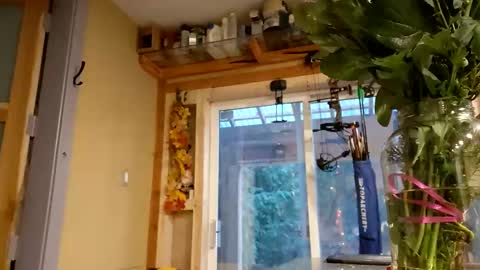 sir. Grummps online show from 02-14-26, 12:18