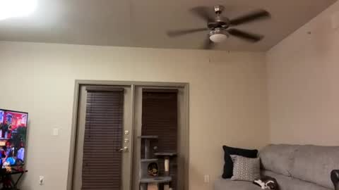 Snapshot of irissweets chatting on 03-12-25, 04:41 irissweets online show from 03-12-25, 04:41