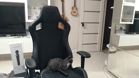 Snapshot of irwi_tomboy chatting on 12-26-24, 11:24 Irwi Tomboy online show from 12-26-24, 11:24