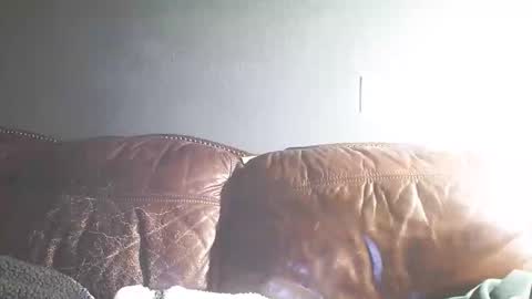 Snapshot of itstunechi chatting on 02-15-25, 07:27 itstunechi online show from 02-15-25, 07:27