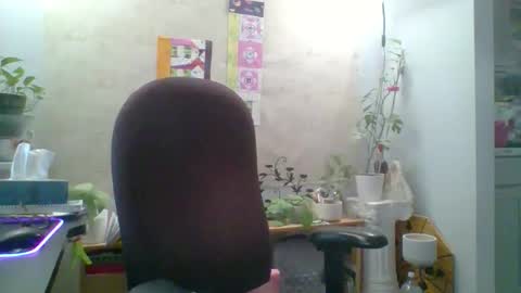 Snapshot of ivyjane3522 chatting on 04-25-26, 11:46 ivyjane3522 online show from 04-25-26, 11:46