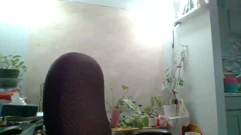 Snapshot of ivyjane3522 chatting on 05-07-26, 02:00 ivyjane3522 online show from 05-07-26, 02:00