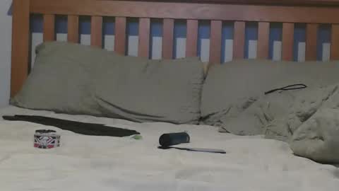 Snapshot of j281133 chatting on 11-04-25, 02:16 Big 8 online show from 11-04-25, 02:16