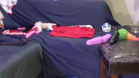 JACKSLUT BUY ME . FAN CLUB MEMBERS AND THOSE WHOM THE MEMBERS INDICATE SISY SLUT PROVIDES THEM  FREE SERVICES online show from 12-29-24, 02:06