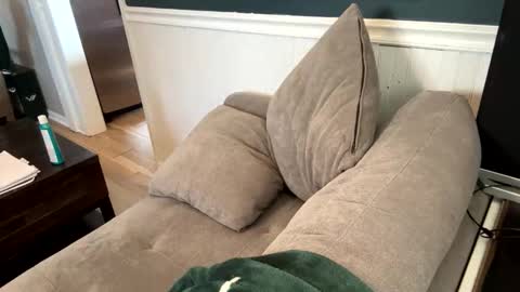 jack_daniels8101 online show from 04-07-26, 09:04