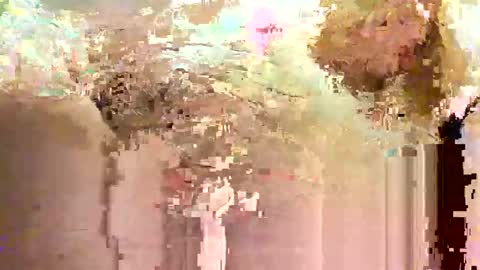 jadedmoshier online show from 11-28-25, 09:01