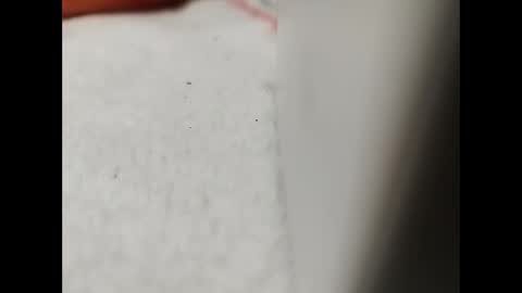 Snapshot of jaimescook chatting on 01-26-25, 01:15 james online show from 01-26-25, 01:15