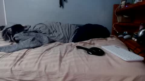 Snapshot of james30cup chatting on 02-16-26, 01:29 what you in too online show from 02-16-26, 01:29