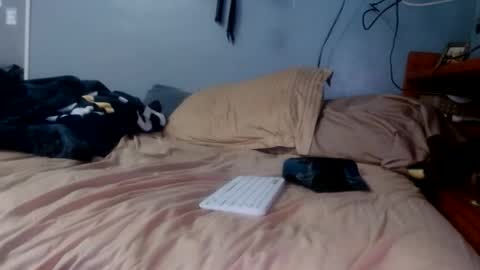 Snapshot of james30cup chatting on 04-07-26, 06:41 what you in too online show from 04-07-26, 06:41