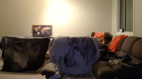 jameswolf777 online show from 12-22-25, 06:54