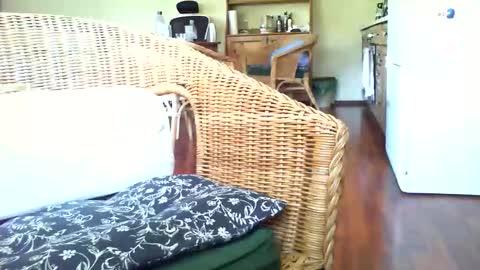 Snapshot of jani56 chatting on 05-06-26, 06:19 jani56 online show from 05-06-26, 06:19