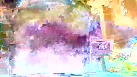 jcvgikjqxima online show from 05-17-26, 12:19