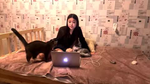 jeannettavidro online show from 11-18-25, 03:05