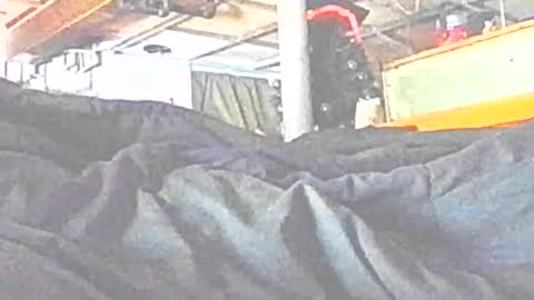 jedishy925585 online show from 06-29-26, 10:15