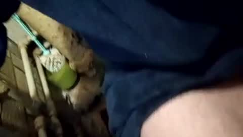 Join me online show from 02-08-25, 01:33