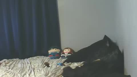 Snapshot of jessicacastro760 chatting on 01-08-26, 06:05 Sissy Jessica online show from 01-08-26, 06:05
