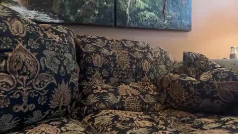 jlk7777 online show from 02-10-26, 05:17