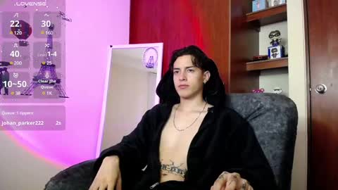 johan_parker222 online show from 03-06-25, 04:41