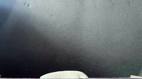 Snapshot of john_marston2 chatting on 05-29-26, 07:17 John Marston online show from 05-29-26, 07:17