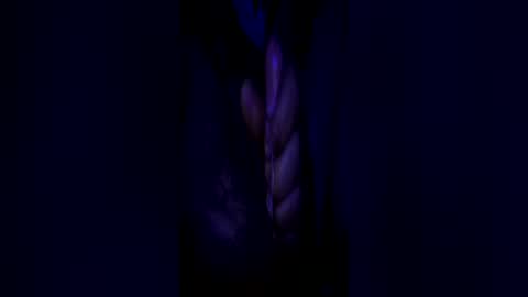 Snapshot of johnbruce23 chatting on 06-25-26, 11:37 johnbruce23 online show from 06-25-26, 11:37