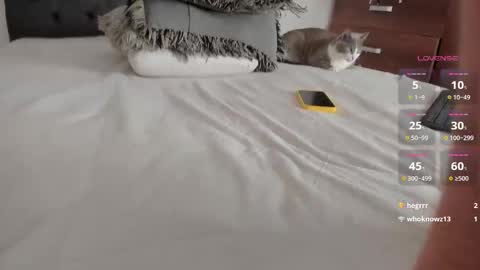 Snapshot of jordanmusk_ chatting on 03-25-26, 11:44 Will online show from 03-25-26, 11:44