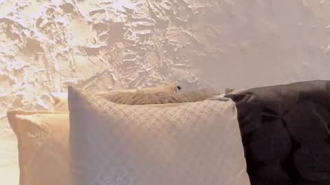 Snapshot of joselin_rouse chatting on 07-06-26, 03:03 joselin online show from 07-06-26, 03:03