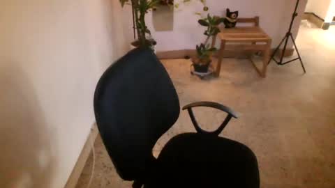 juan235665 online show from 07-09-26, 10:03