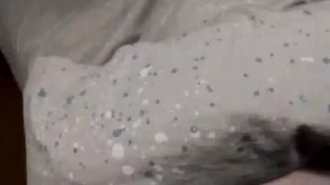 Asian office boy online show from 01-06-25, 02:36