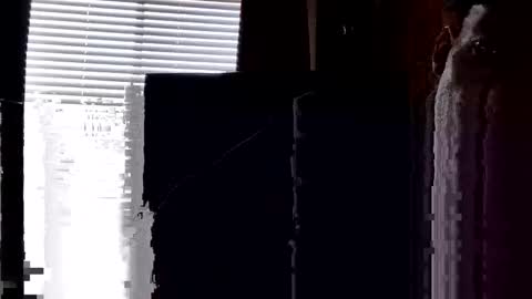 Snapshot of justforfun031 chatting on 04-16-26, 12:55 justforfun031 online show from 04-16-26, 12:55