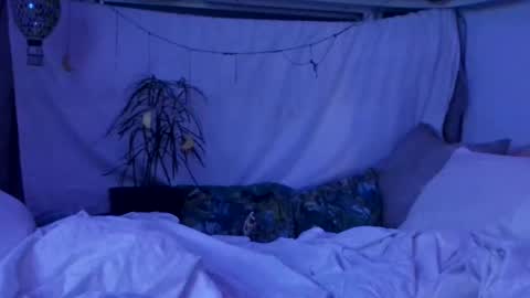 jwolf11851725 online show from 10-29-25, 10:06