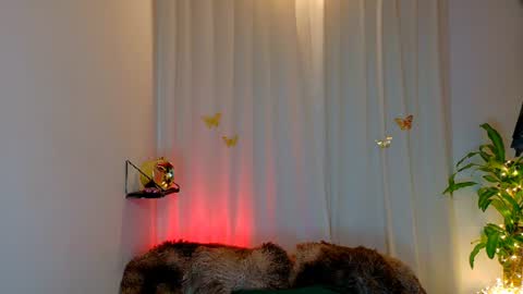 Snapshot of kaaiiri chatting on 06-18-26, 02:45 Kaaiiri online show from 06-18-26, 02:45