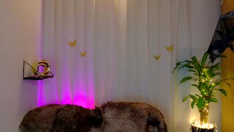 Snapshot of kaaiiri chatting on 07-01-26, 02:02 Kaaiiri online show from 07-01-26, 02:02