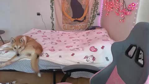 Kessy online show from 03-12-26, 06:41